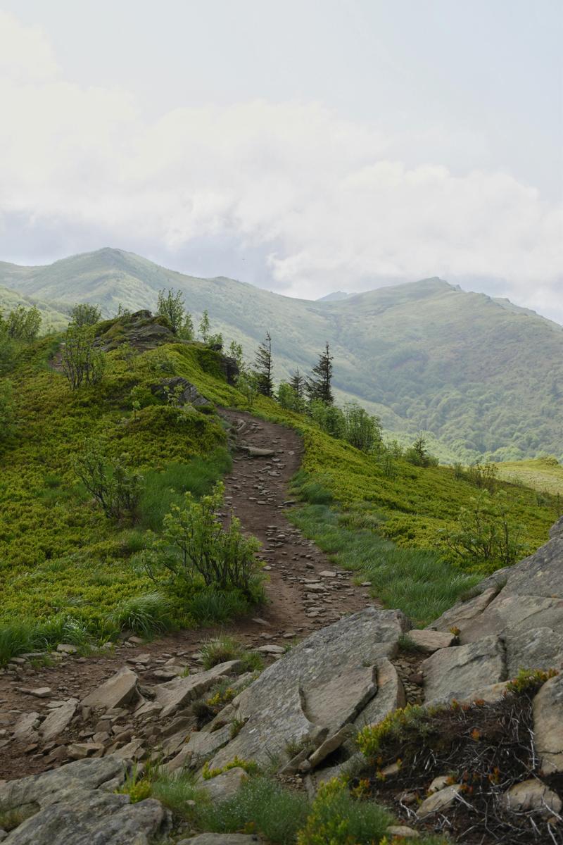 Bieszczady Mountains
