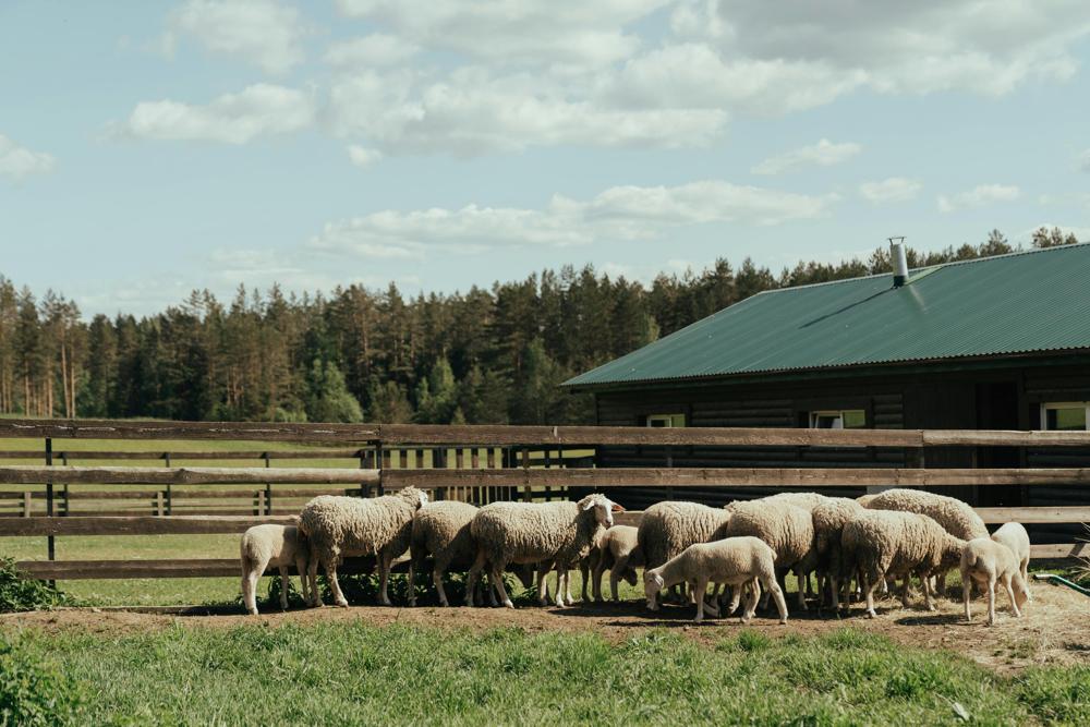 countryside farmhouse