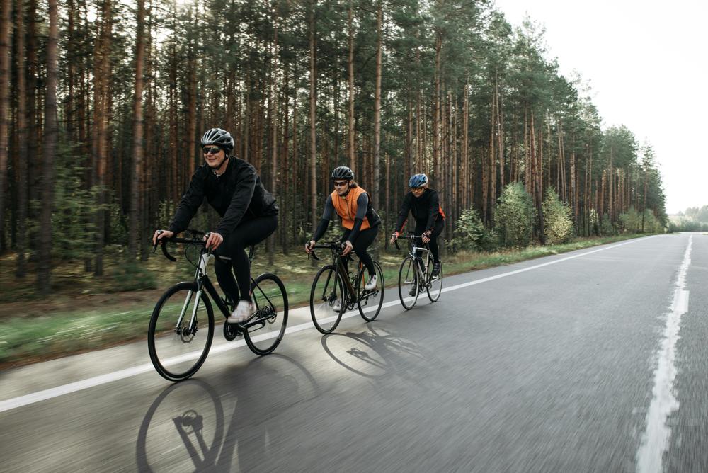 forest cycling