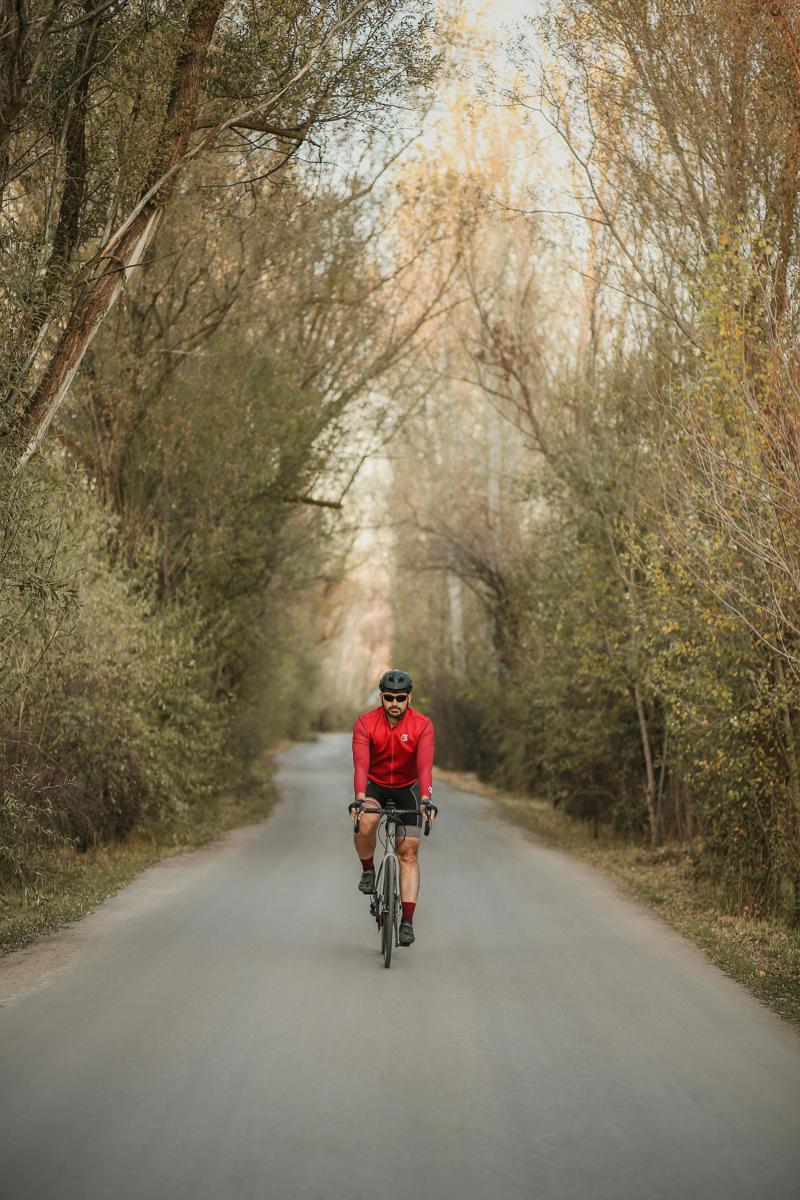 forest cycling